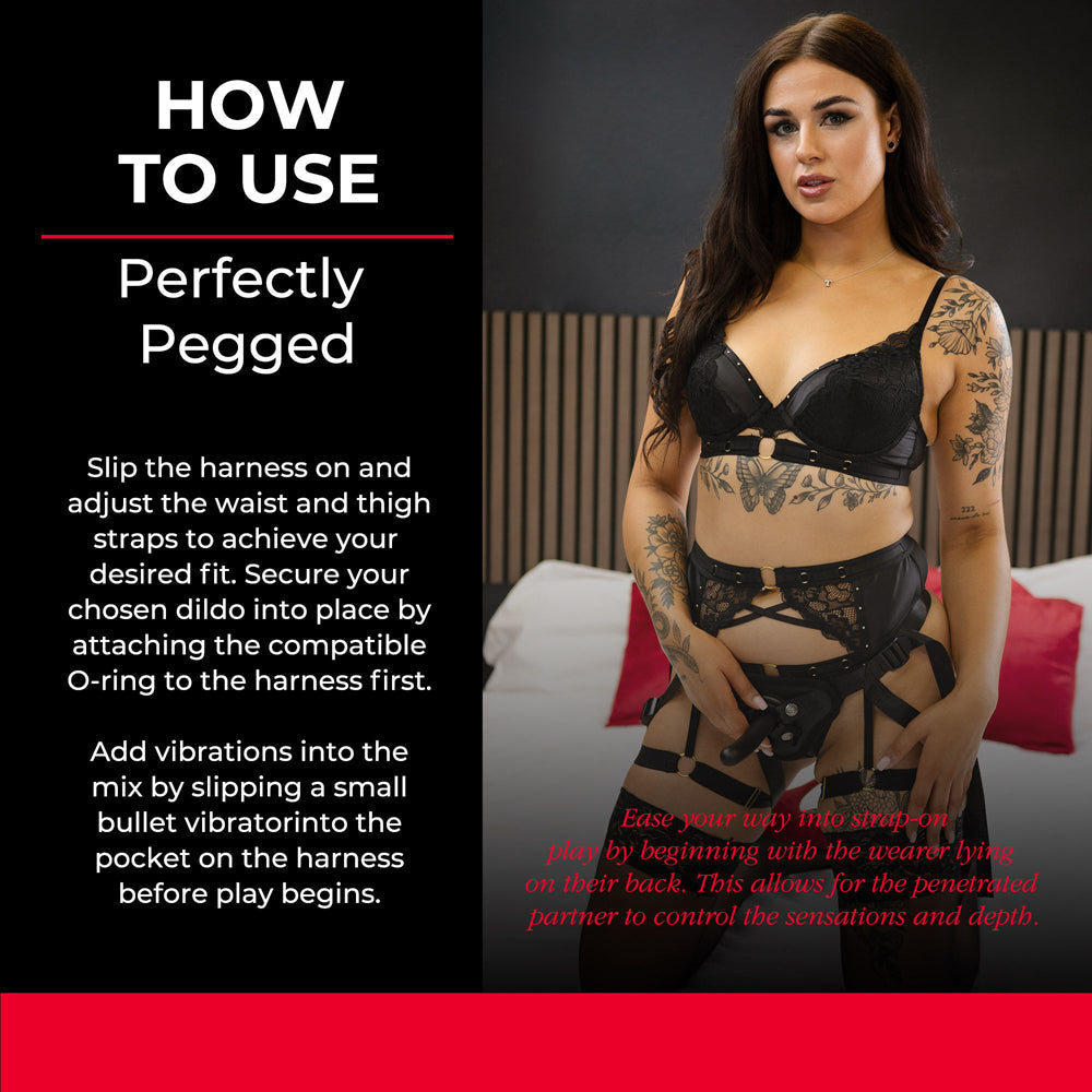 SEI MIO Perfectly Pegged Beginners S/O