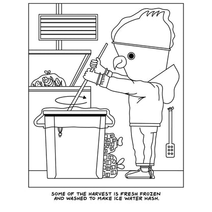 Visit to the Canabis Farm Colouring Book *