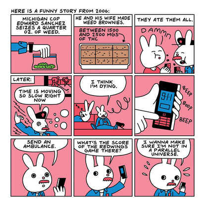 Are You Too High? Storybook  *