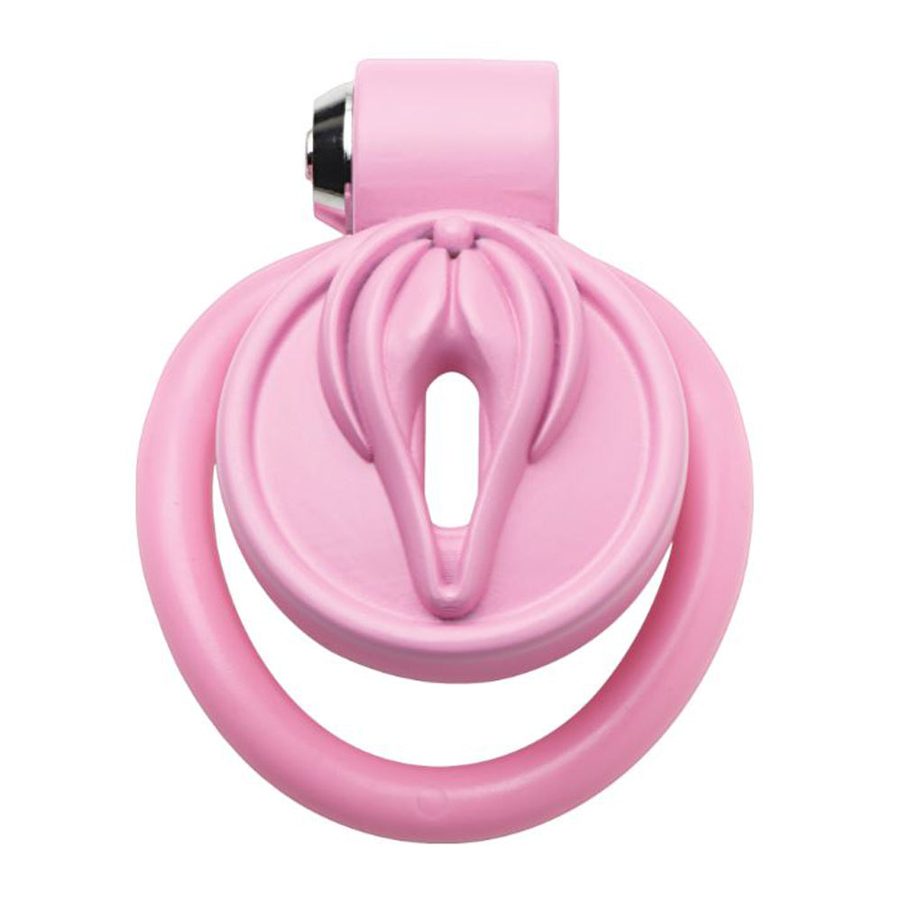 Pussification Chastity Cock Cage